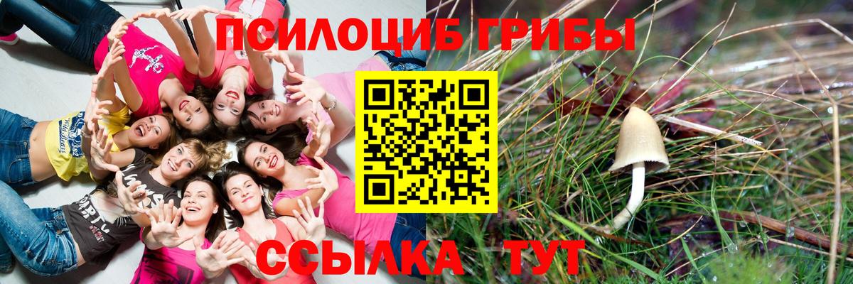 Галлюциногенные грибы Magic Shrooms Апшеронск
